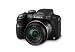 Panasonic DMC-FZ48EB-K