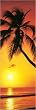 1art1 8743 Sandra Sun Palme Strand und Sonnenuntergang T�r-Poster (158 x 53 cm)