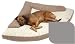 Corner Bolster Bed - Grey with Oatmeal Berber