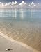 (16x20) Starfish on Beach Art Print Poster