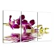 Visario 1132 Bilder auf Leinwand Orchidee, 160 x 90 cm, 3 Teile