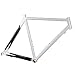 Nashbar Integrated Alloy/Carbon Road Frame