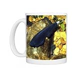 Photo Mugs of PM-10223 Black Ghost-knife fish, electric fish found in shallow fast flowing from Ardea Wildlife Pets
