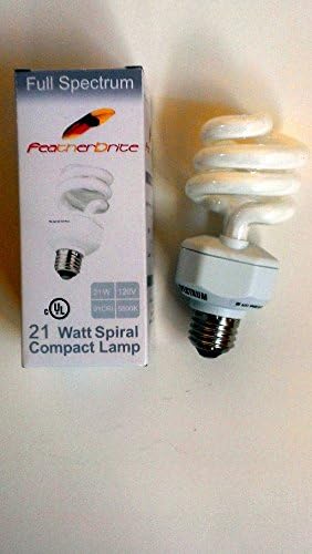 FB21w Full Spectrum Bulb