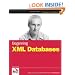 Beginning XML Databases (Wrox Beginning Guides)