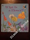 What Is a Flower? (Child's Golden Science Bks)