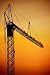 Crane on the Sunset - 24H x 16W - Peel and Stick Wall Decal by Wallmonkeys