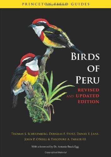 Birds of Peru: Revised and Updated Edition by Thomas S. Schulenberg (May 4 2010)