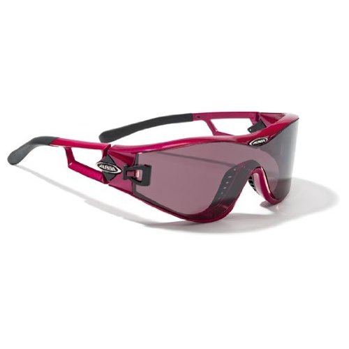 Sportbrille Alpina Swing 32 DLQ,