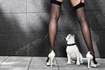 Motivational - Poster - Kopf Hoch + 2...
