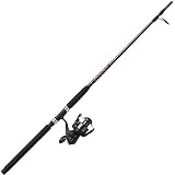 Penn Sargus Spinning Combo