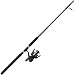Penn Sargus Spinning Combo