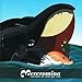 mercromina, Canciones De Andar Por Casa, 発売中