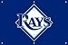 Tampa Bay Devil Rays Applique &amp; Embroidered Fan Banner