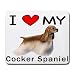 cocker_spaniel7cocker spaniel - I Love My Cocker Spaniel