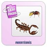 Revue Conitiv - Synchron  / Lexminder Anglais - Logiciel pour mémoriser du vocabulaire - Invertebres