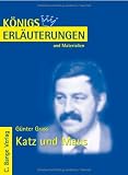 Katz und Maus. Erläuterungen und Materialien.