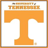 Turner CLC Tennessee Volunteers Note Cube (8080135)