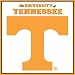 Turner CLC Tennessee Volunteers Note Cube (8080135)