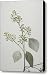 A Seeded Eucalyptus Eucalyptus Cinerea Canvas Print / Canvas Art - Artist Joel Sartore