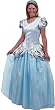Little Adventures 51011 Adult Deluxe Cinderella Costume - Small / Medium