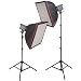 Interfit Photographic Stellar 300ws 2 Monolight Double Softbox Kit, with Reflectors, Stands & Cases, Total 600ws
