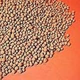Hydroton, 8 mm-16 mm, 10 L