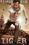 Ek Tha Tiger (2 Disc Set) Bollywood D...