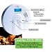 Protector Kohlenmonoxid-Melder CO-200 mit beleuchtetem Display