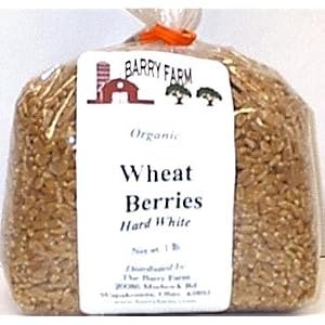 Hard White Wheat Berries, 1 lb. by Barry Farm