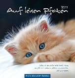 Auf leisen Pfoten 2011: Postkartenkalender