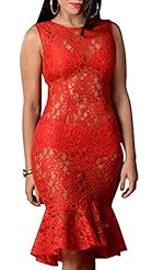 Sexy Peplum Lace Embroidered Polyester/Spandex Sleeveless  Dress