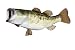 Signature Series-Large Mouth Bass Fish Replica-6 Pound/19.5 Inch/left facing