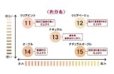 パピリオイージーフィットファンデーション 15 リフィル ナチュラルオークル