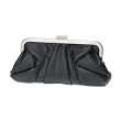 ALDO Cribb - Women Clutches