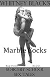 Playthings (Sorcery School Sex Tales)