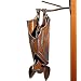 Hanging Garden Bat : Open Wings, Facing Right
