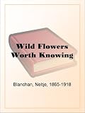 Wild Flowers Worth Knowing