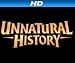 Curse of the Rolling Stone [HD]