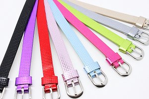 "Show Pup" New Born Puppy Kitten Identification Collars / Litter Bands - Set of 7