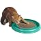 Alternatives to Declawing