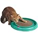 Best Interactive Cat Toys