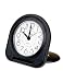 Eagle Creek Quick View Travel Clock