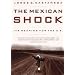 The Mexican Shock: Its Meaning for the United States