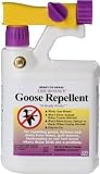 Liquid Fence #146 Quart Goose Repellent
