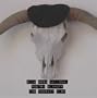 2004 Mesa National Poetry Slamoff The Compact Disc