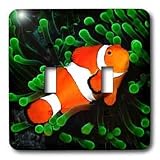 Tropical Fish - Clown Anemone Fish - Light Switch Covers - double toggle switch