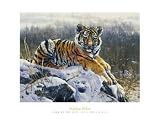 King of the Hill - Fine Art Print - 80x60cm - Art247 Poster Print