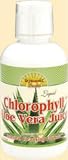 Chlorophyll w/ Aloe Vera Juice 16 oz