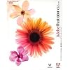 Adobe Illustrator CS2.0 日本語版 Windows版
